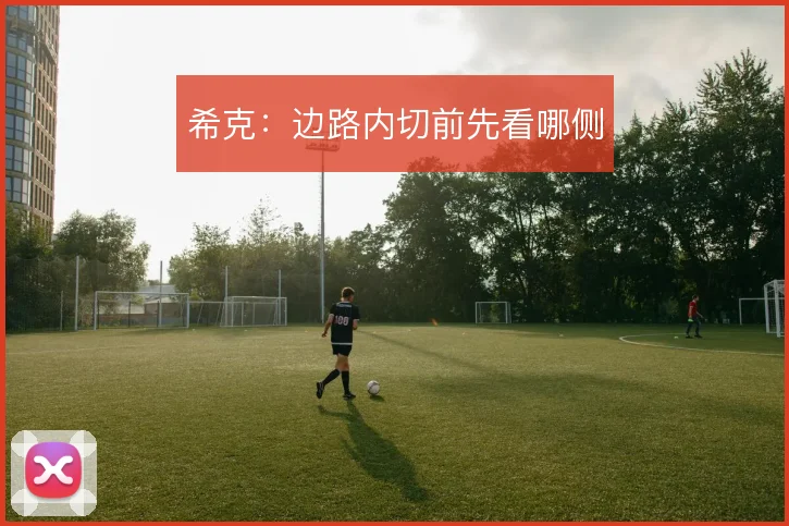 希克：边路内切前先看哪侧